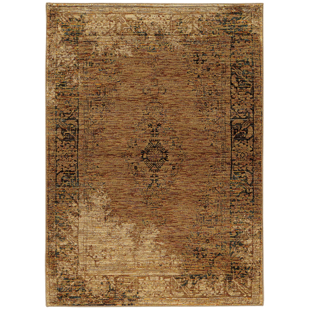 Oriental Weavers Andorra 6845D Multicolor Rectangle Indoor Area Rug - Durable & Stain Resistant Rug with Distressed Oriental Design-
