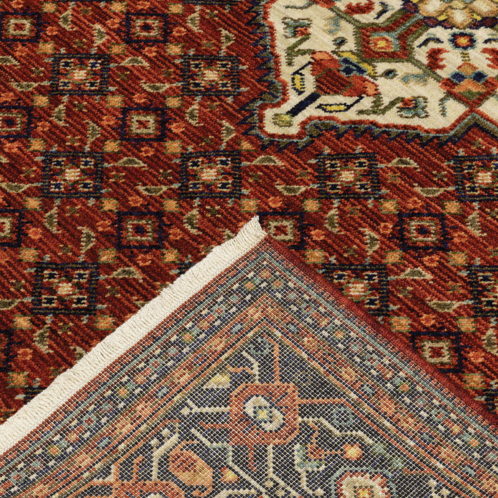 Oriental Weavers Lilihan 001C6 Multicolor Rectangle Indoor Runner - Soft & Durable Low Pile Rug with Medallion Design-