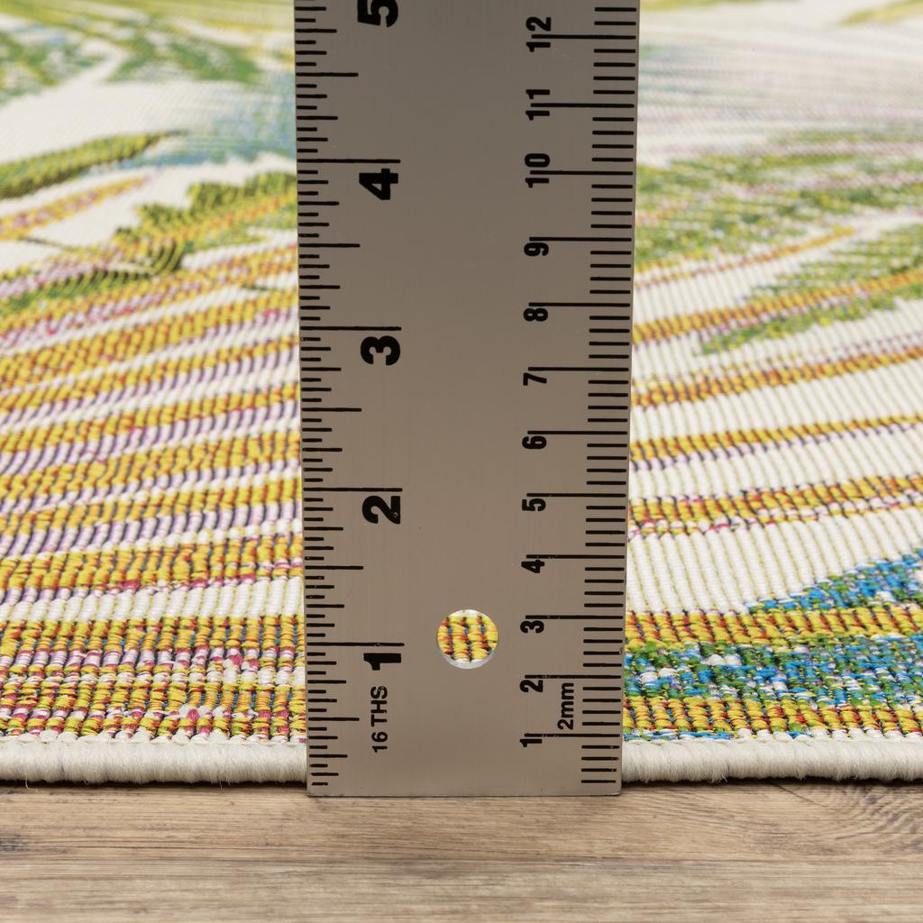 Oriental Weavers Naples 1091X Green Rectangle Indoor/Outdoor Area Rug Botantical Pattern-