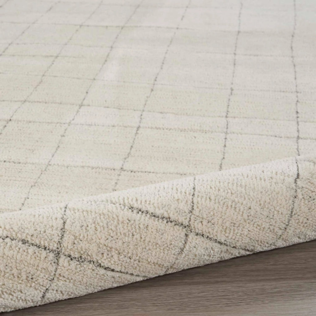 Nourison Home Andes AND04 Beige Rectangle Indoor Area Rug - Power Loomed Medium Pile Rug