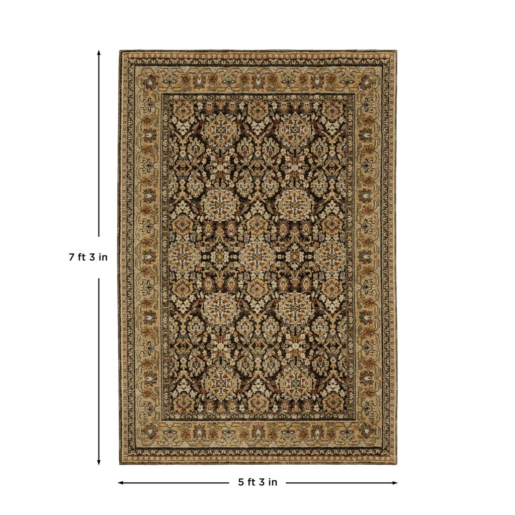 Oriental Weavers Andorra 2431A Brown Rectangle Indoor Area Rug Oriental Pattern-