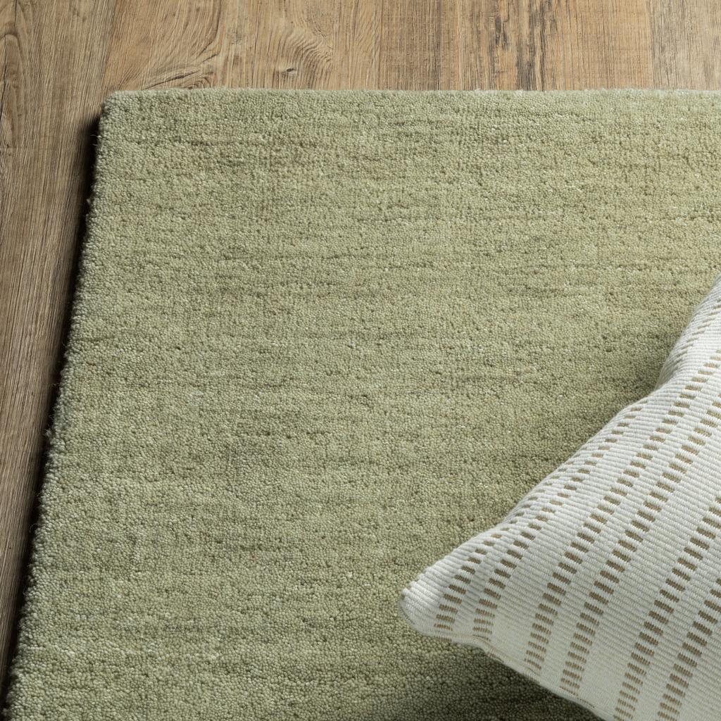 Oriental Weavers Aniston II 27120 Sage Rectangle Indoor Area Rug Solid Pattern-