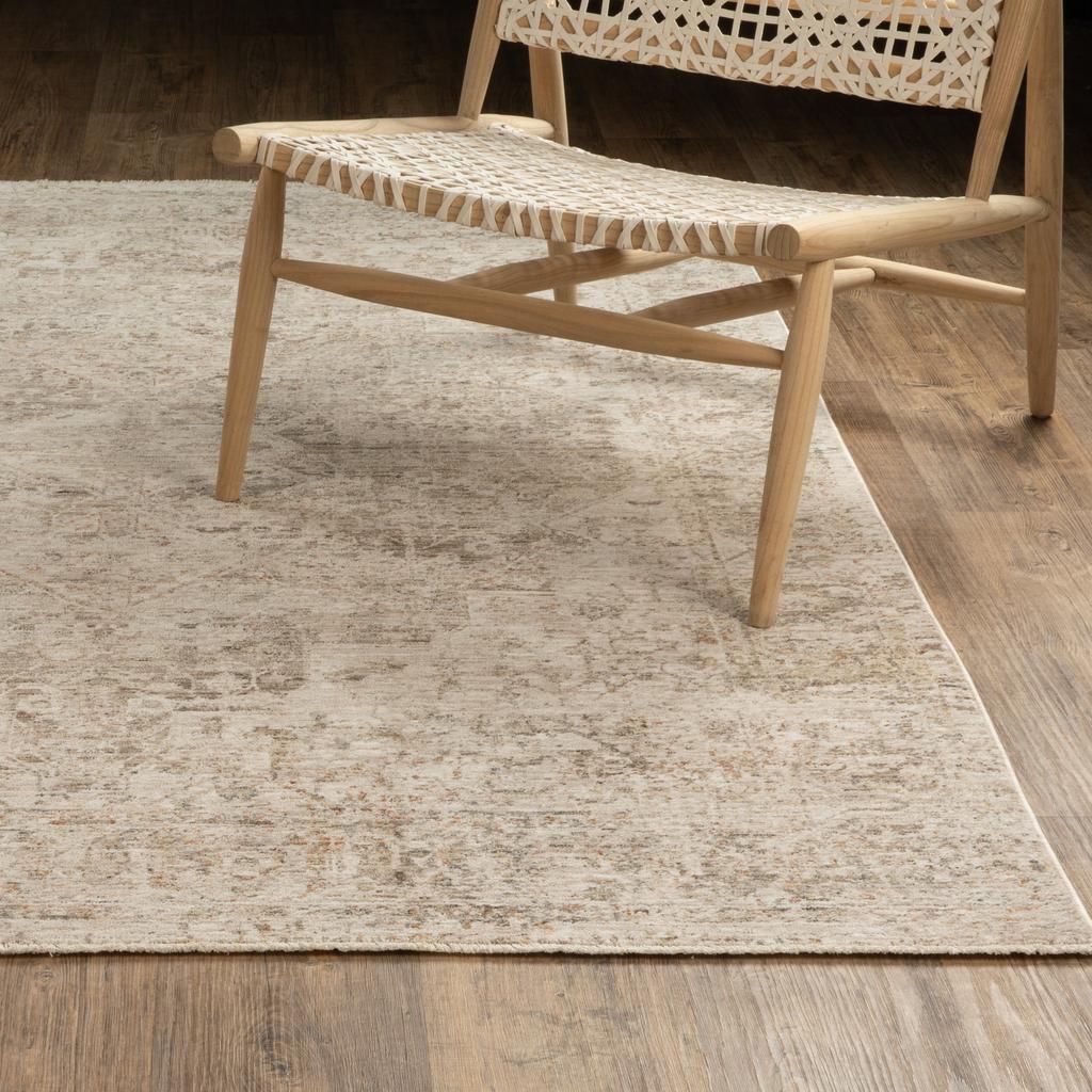 Oriental Weavers Avalon AVA08 Beige Rectangle Indoor Area Rug Oriental Pattern-