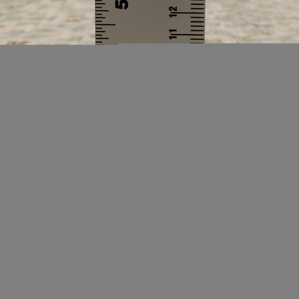 Oriental Weavers Maeve MAE04 Beige Rectangle Indoor Runner Oriental Pattern-