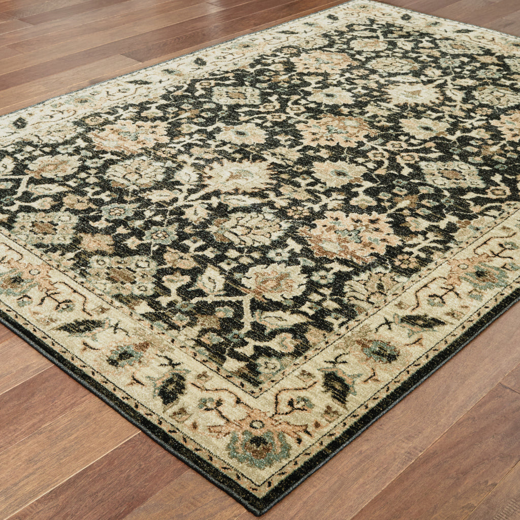 Oriental Weavers Raleigh 8026P Two-Color Rectangle Indoor Area Rug - Soft &amp; Stain Resistant Low Pile Rug with Oriental Design