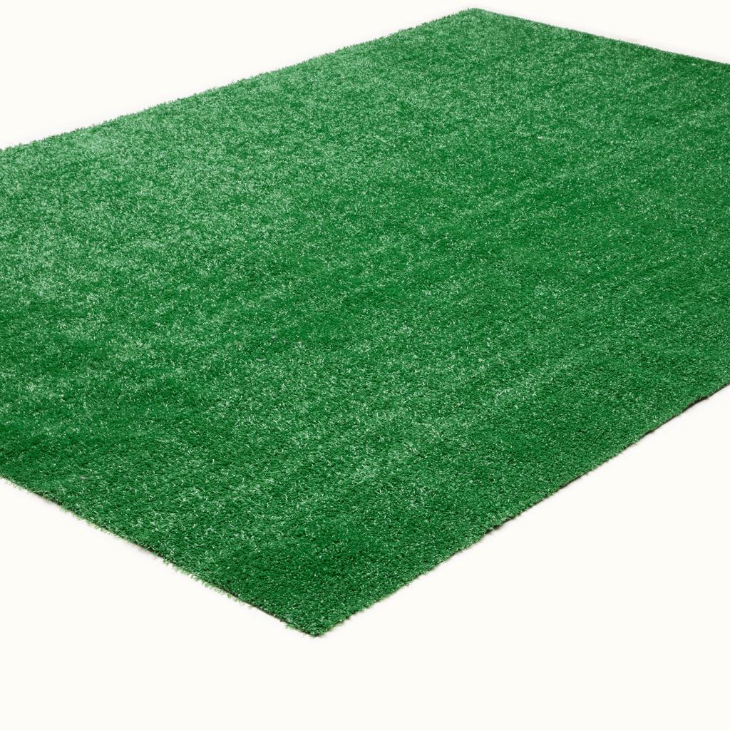 Oriental Weavers Sarasota SA001 Green Rectangle Indoor/Outdoor Area Rug Artifical Turf Pattern-