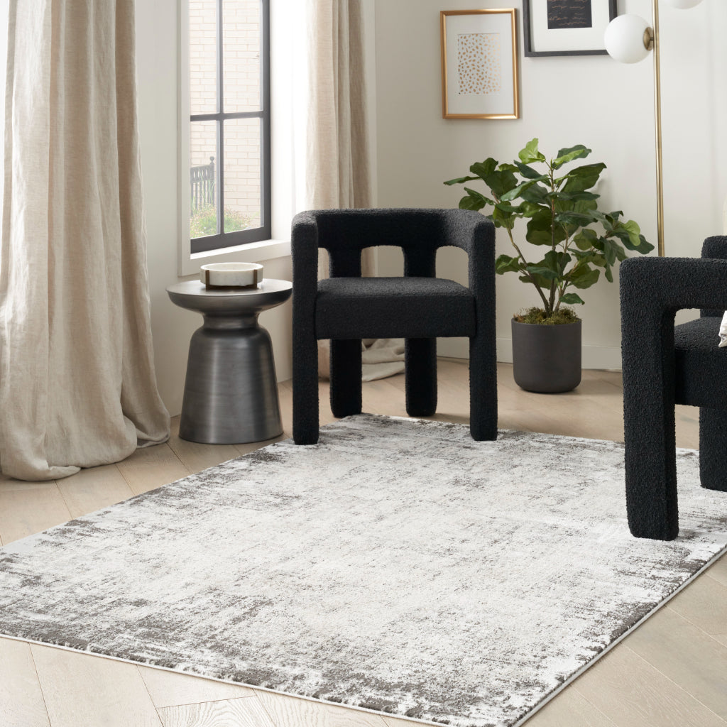 Nourison Home Desire DSR05 Two-Color Indoor Rectangle Area Rug - Power Loomed Plush Pile Rug with Distress Pattern-